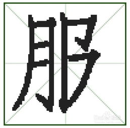 服的笔顺