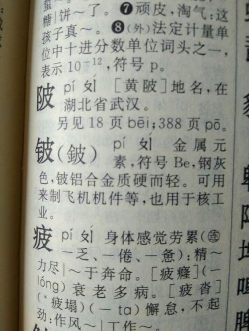 陂 这个字怎么读?