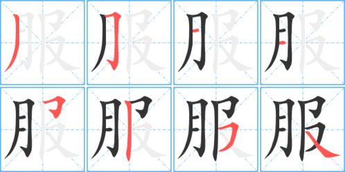 服的笔顺是