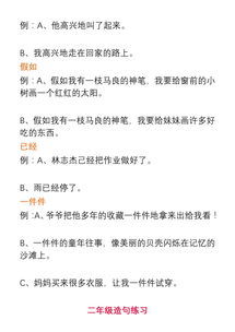 用3个有时有时有时造句大全一年级写一句话