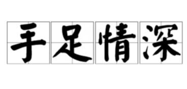 手足情深是什么意思?