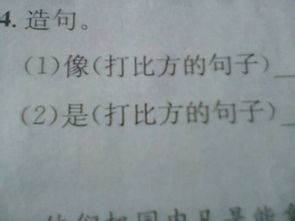 比如的造句比如的造句是什么