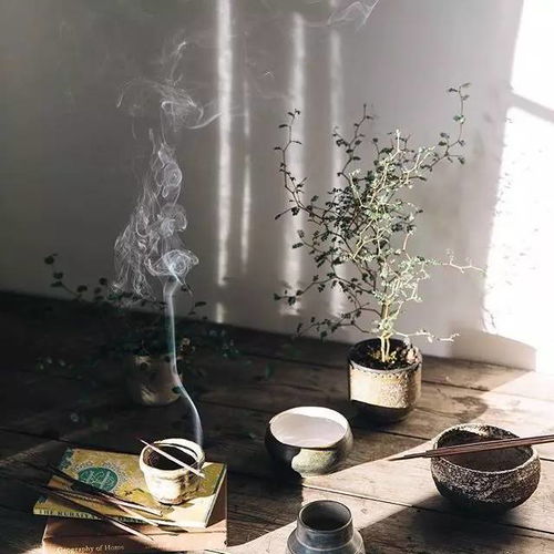 简素沙发是几线品牌的