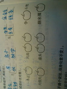 与徐有关的成语