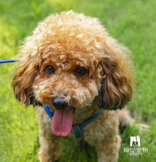 咧嘴一笑，咧嘴笑表情包