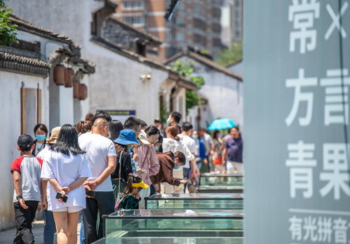 押解怎么读