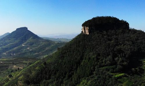 自在游历是什么意思，游历是什么意思解释
