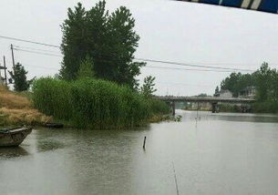 汊河镇属于哪个市