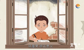 凤凰男是什么意思?