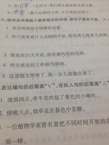 清闲的近义词和反义词，清闲的近义词语