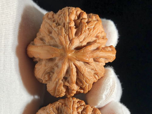 油馍筋儿的家常做法大全怎么做好吃视频