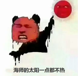 后续是什么意思