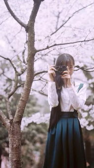 猜字谜语大全及答案:泾渭不分