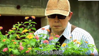 日本法政大学世界排名