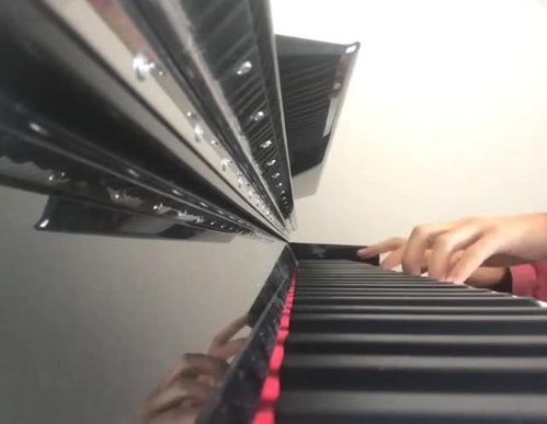 “情”的笔顺是怎么写?