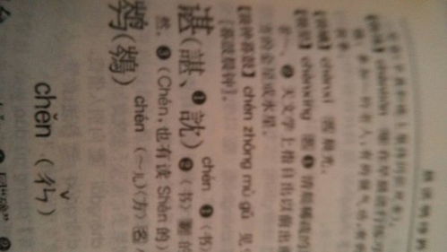 谌的拼音姓氏，谋的拼音怎么读