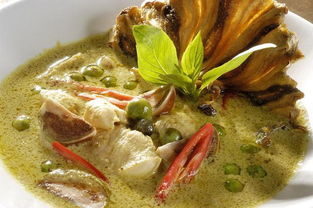 咖喱的读音咖喱的读音是什么