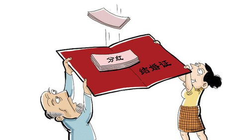 政策是什么意思