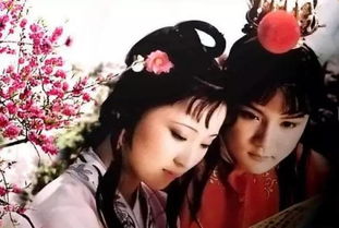 恨无常是谁的判词，恨无常原文