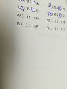 神的四字成语大全