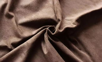 “麂”字的读音是什么?