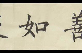 从善的成语从善的成语是什么