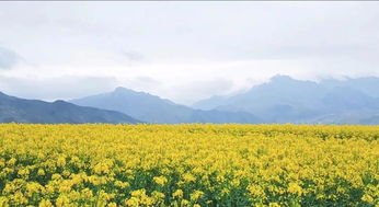 正值风华正茂，正值壮年是什么意思