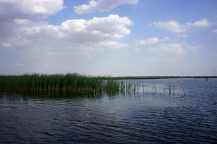 冀中指的是什么地方