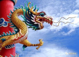 (飞龙在天)指什么生肖?