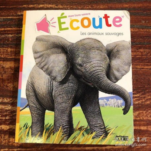 “大象”拼音是什么?