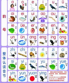 买字怎么写