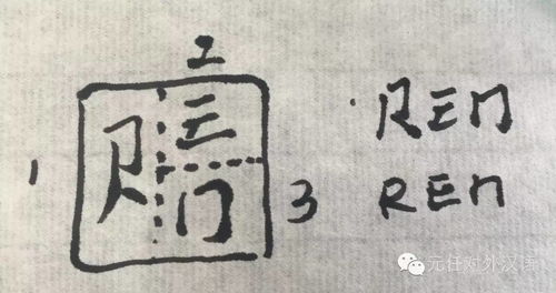 任拼音怎么读，凭拼音