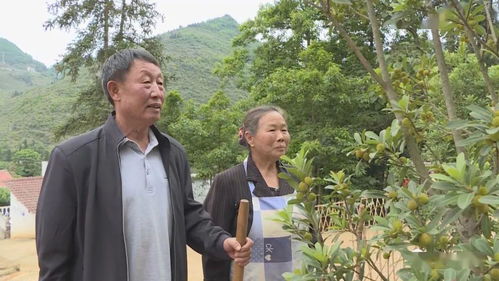 盲侠大律师王官为什么死了