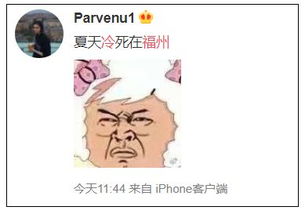 不知好歹的意思是什么