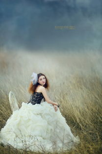 像花虽未红 似杯酒渐浓 是张学友唱的哪首歌里的歌词