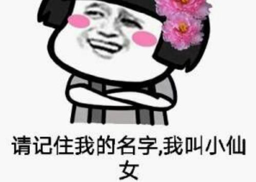 仙女是什么意思