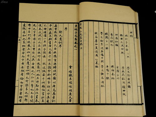 舍本逐末的意思