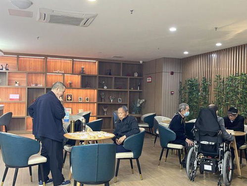 民办公助的解释