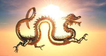 飞龙在天是什么生肖正确答案，飞龙在天是什么生肖嘴巴大身子小