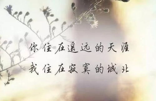 动情是什么意思，动情的英文