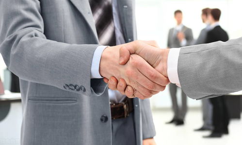 仪容是什么意思