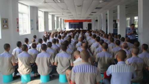 劳动改造什么意思