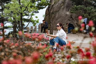 正值是什么意思