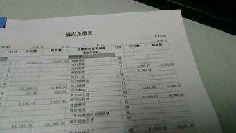 请问应付的意思是什么呢?谢谢