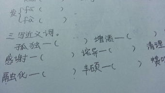 “孤单”的反义词是什么?