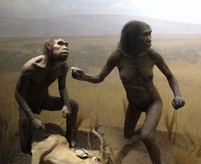 早期智人和晚期智人分别是什么 什么是早期智人和晚期智人