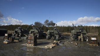车上拉炮交警管吗