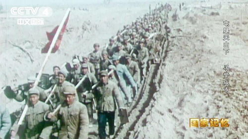 屯垦是什么意思，屯垦队镇