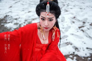 怒马鲜衣是什么意思