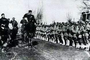 屯垦是什么意思